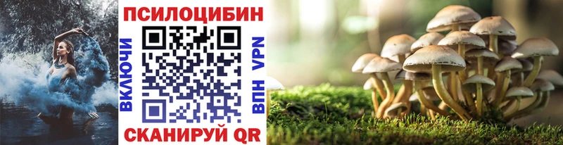 Галлюциногенные грибы ЛСД  Купить закладки  Невель 